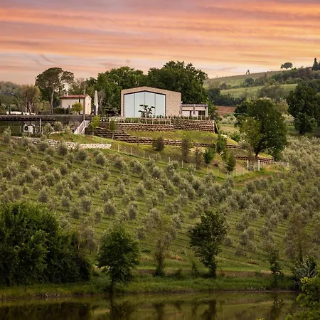Oliveto Sul *