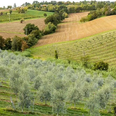 Farm stay Oliveto Sul *